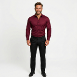 Wrinkle-Resistant Shirt for Men