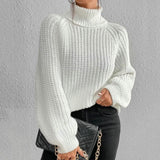 Elegant Turtleneck Swater | Flattering Fit